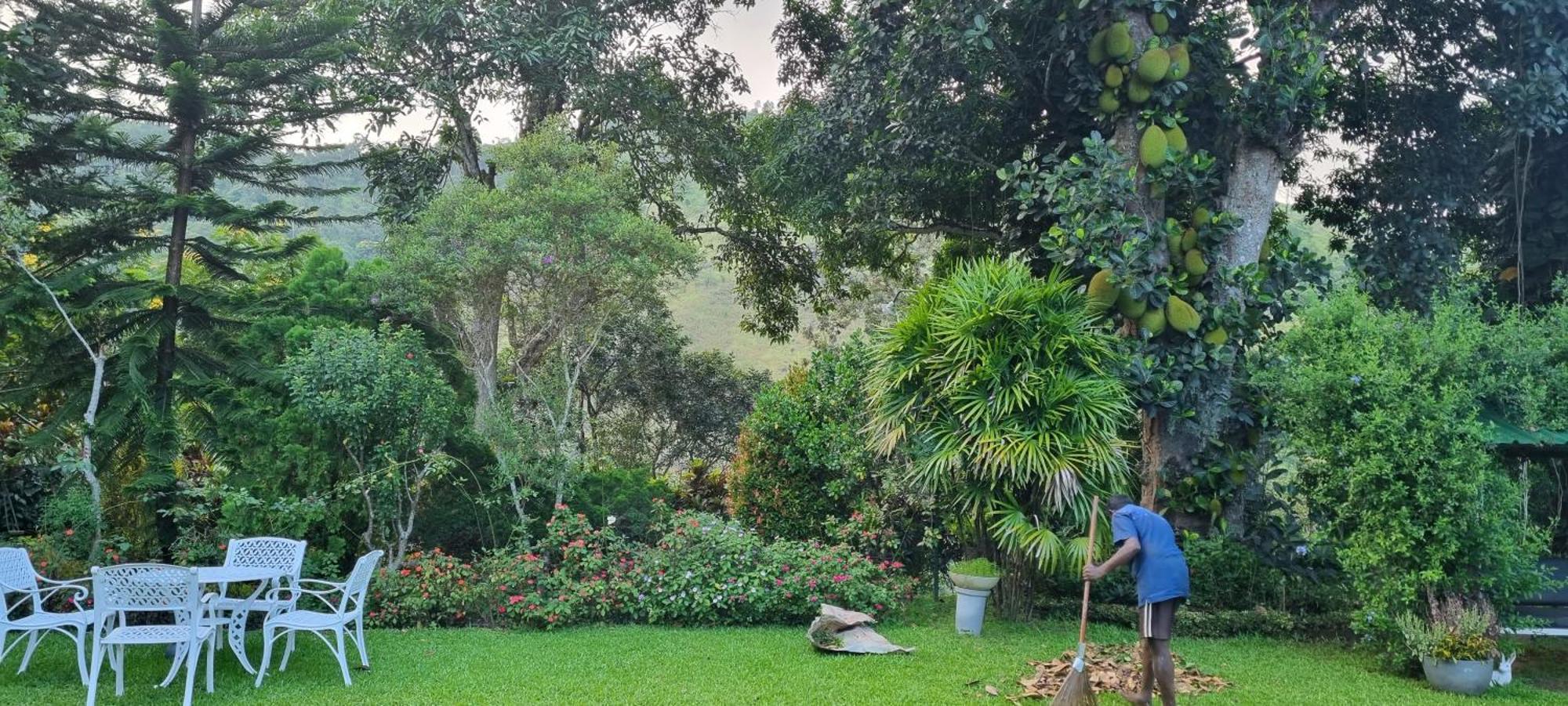 Sithara Estate Bungalow Ella Exterior foto