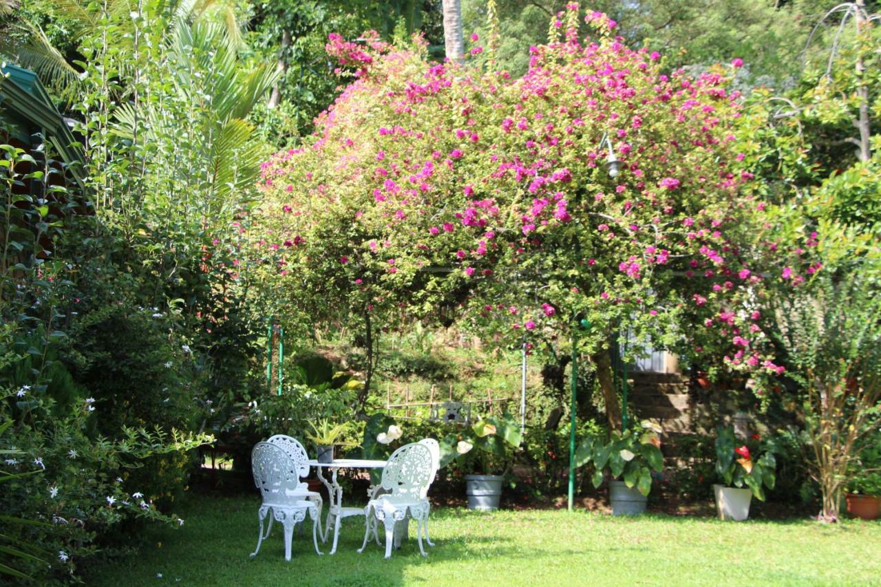 Sithara Estate Bungalow Ella Exterior foto